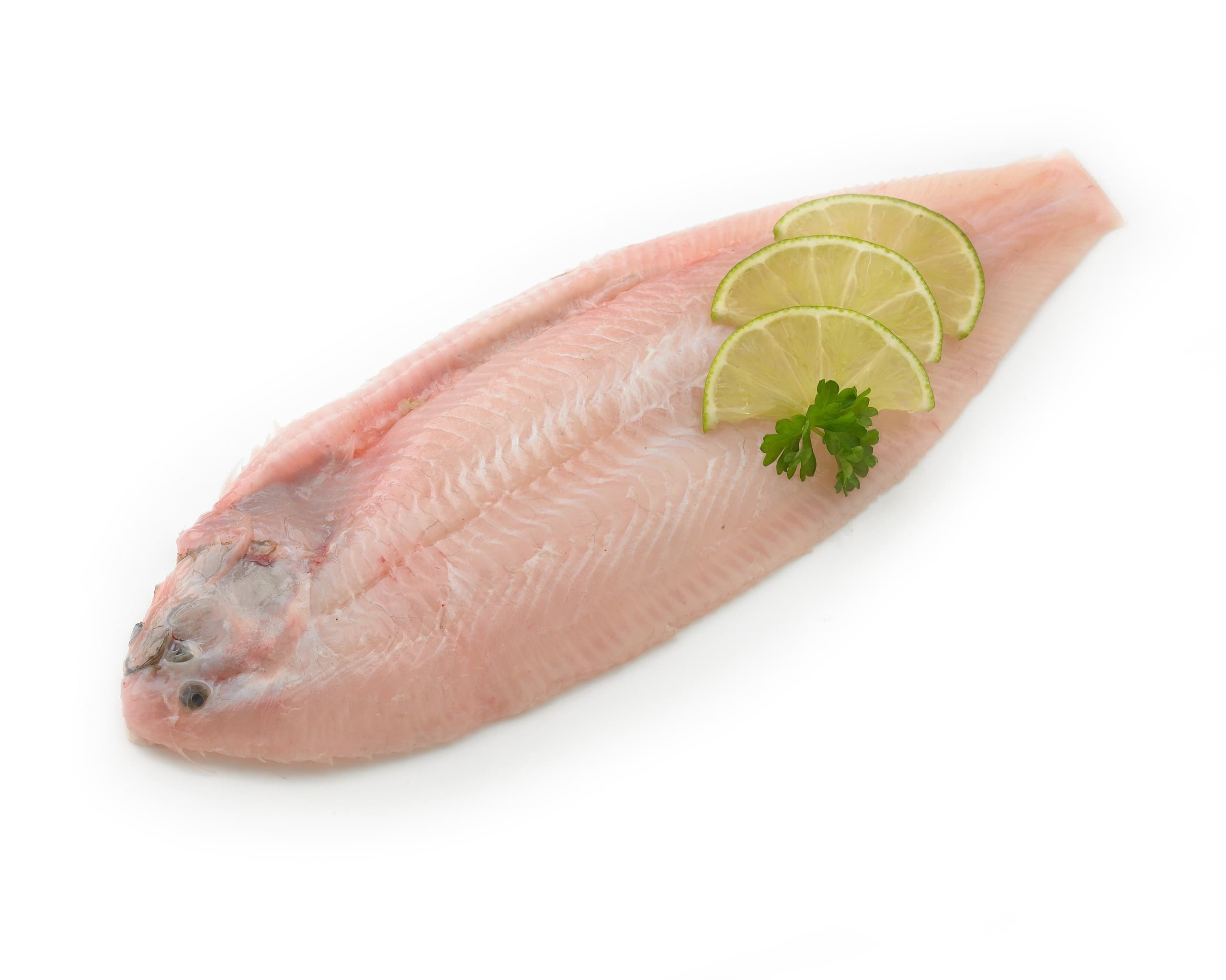 Sliptong met kop - 100 gram