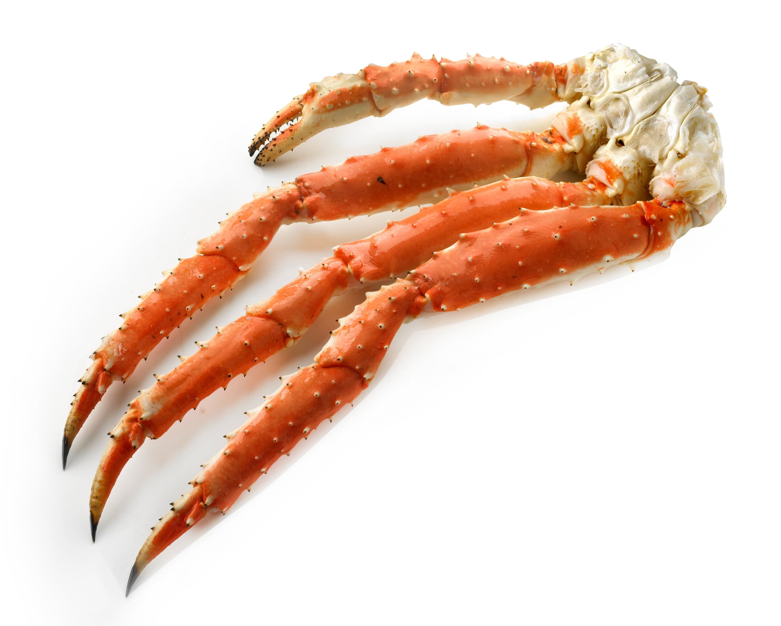 King crab poten - 320 gram