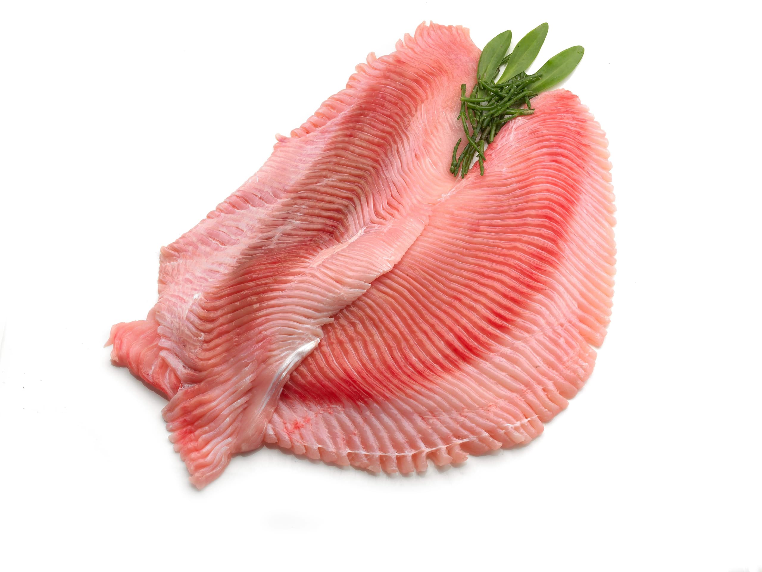 Rogvleugel, filet - 340 gram