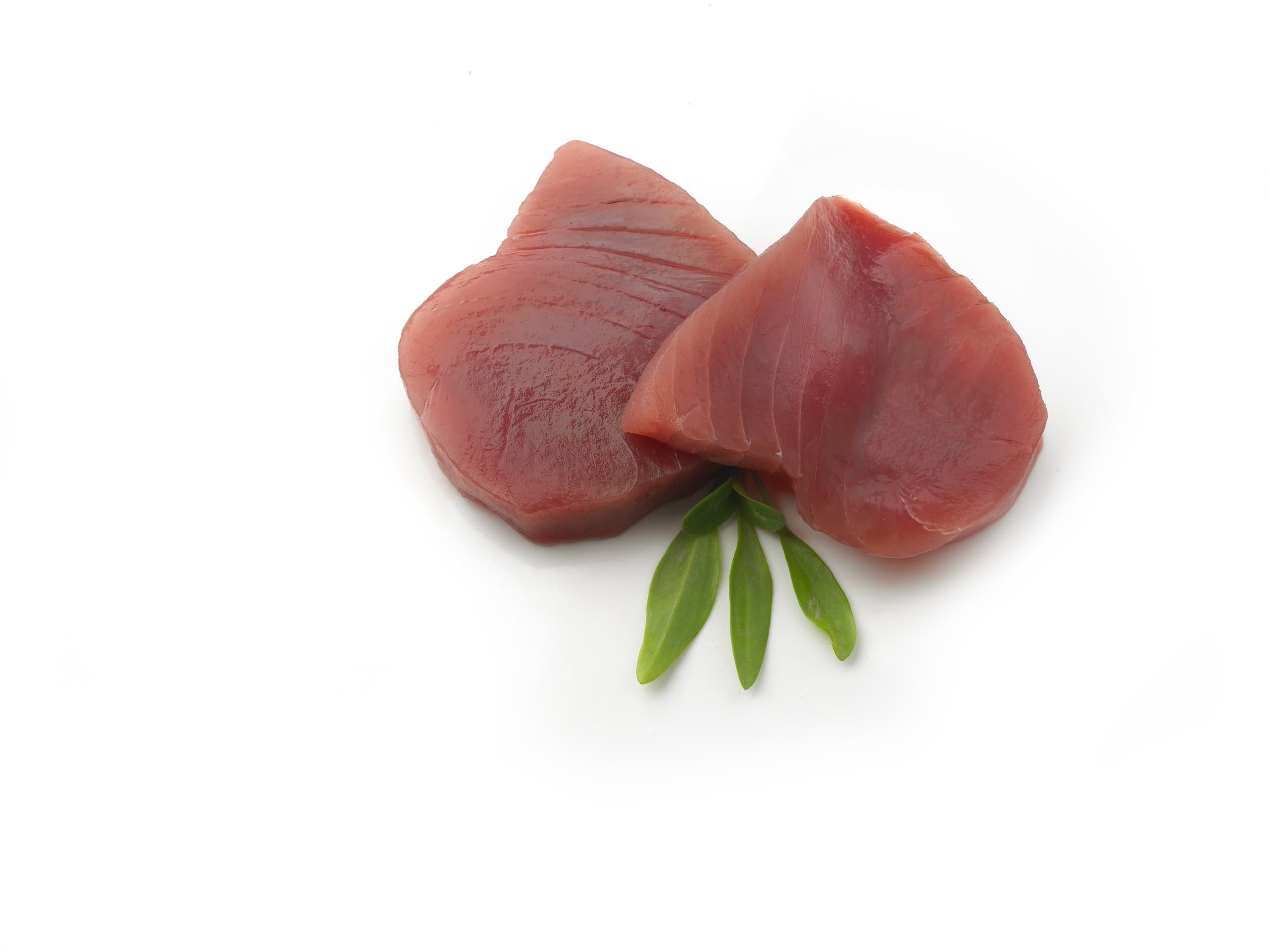 Tonijn, filet