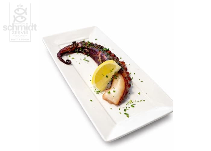 Octopustentakel