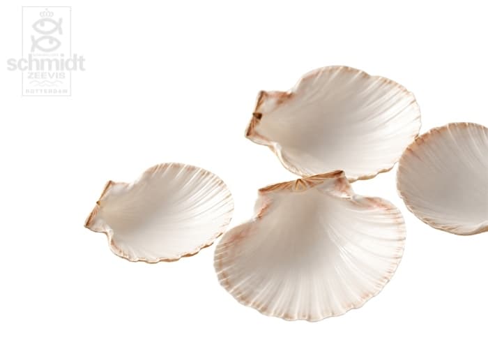 Coquille schelpen